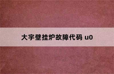 大宇壁挂炉故障代码 u0